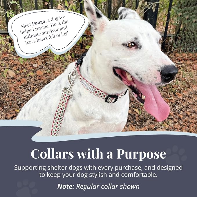 Lucky Love Dog Martingale Dog Collar - Adjustable, No-Slip, Durable, & Soft Webbing Collar for Male and Female Dogs Ideal for Training & Walking - in Unique Pongo Pattern, Large Size