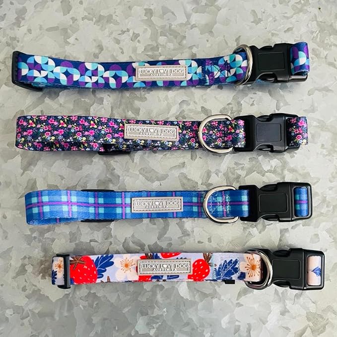 Lucky Love Dog - Adjustable Dog Collar with Easy Click Buckle for Medium Dogs, Durable, & Comfortable for Male & Female Dogs, Pet Collar for Puppies & Adult Ones - Jasper, Medium