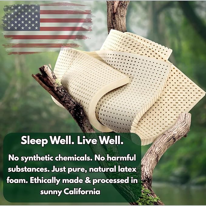eConsumersUSA Organic Shredded Latex Foam 5lbs, 10lbs, 20lbs, 40lbs Made in USA 5 Pounds