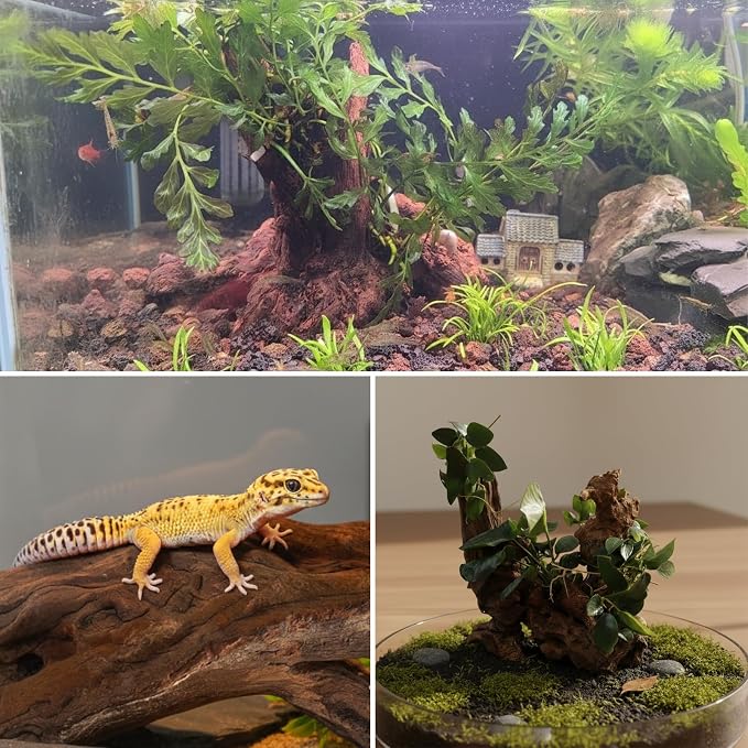 2pcs emours Natural Mopani Wood Fish Tank Decor Aquarium Driftwood Terrarium Wood, 11-16 in