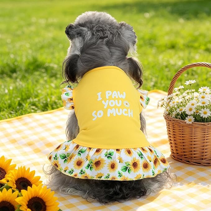 XPUDAC 4 Pack Cute Dog Dress for Small Dog, Floral Puppy Dress Sweet Girl Pet Skirt Outfits Colorful for Birthday Holiday Spring Summer Pet Clothes for Girls, M