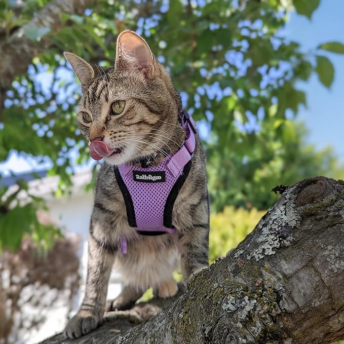 rabbitgoo Cat Harness and Leash for Walking, Escape Proof Soft Adjustable Vest Harnesses for Cats, Easy Control Breathable Reflective Strips Jacket, Light Purple, XS