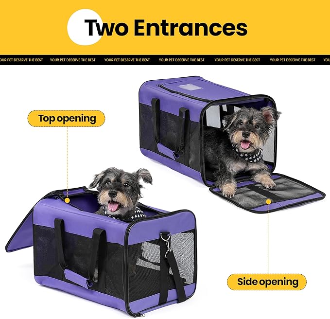 Conlun Dog Carrier Soft Sided, Large Cat Carrier with Inner Safety Leash, Pet Transport Carrier for Large Cats and Medium Dogs up to 20 Lbs, Collapsible Travel Puppy Carrier Bag -Purple L