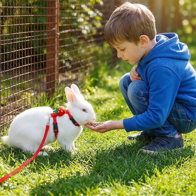 3PCS Adjustable Bunny Rabbit Harness and Leash Set, Small Pet Cute Vest Harness Leash with Decoration, Guinea Pig Harnesses for Ferret, Kitten, Puppy, Rat, Squirrel (Strawberry, Carrot, Pineapple)
