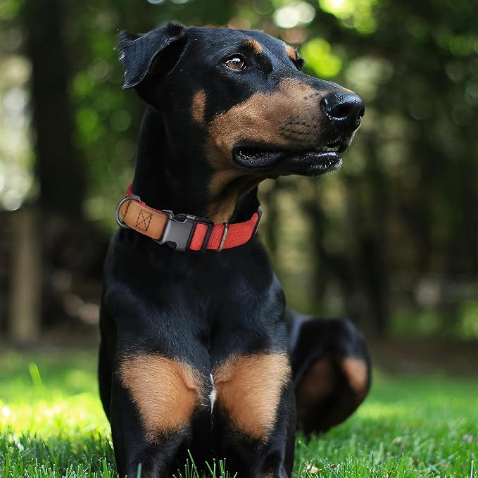 Mile High Life Genuine Leather Dog Collar, Soft Cotton Pet Collars with Heavy Metal Buckle for Small Large Dogs (Red, M Neck 15"-18")