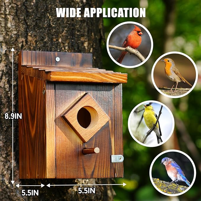 Waterproof Wooden Blue Bird House, Weather Treated Bluebird Box Houses for Outdoors, Nesting Box for Wrens, Swallows, Finches, Chickadee (Wood)