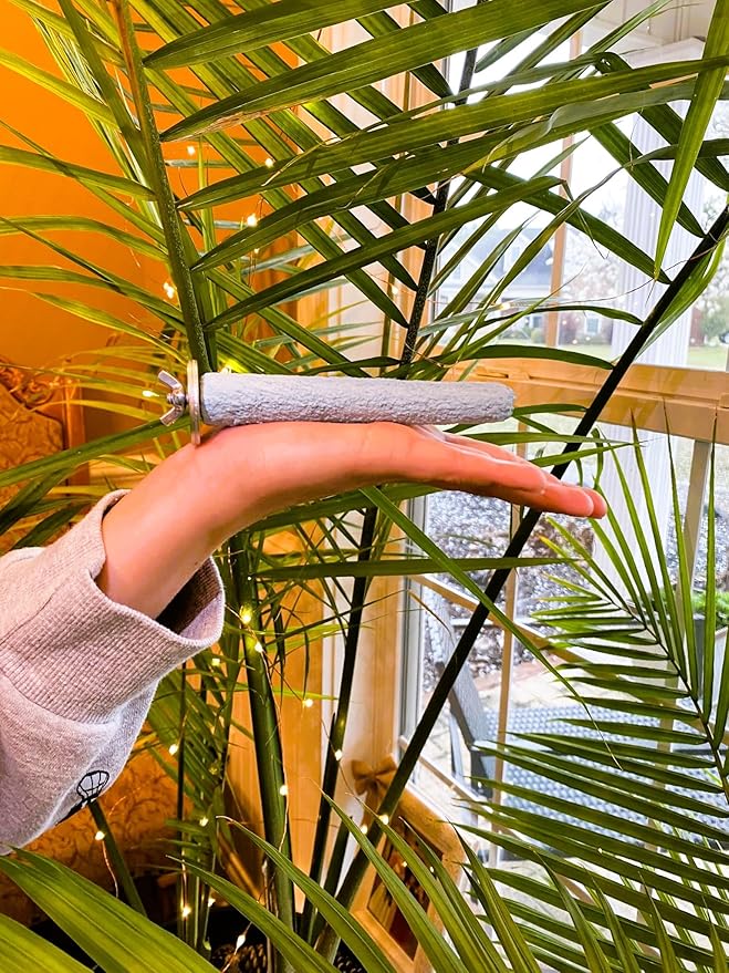 Polly's Pastels Nail Trimming & Beak Conditioning Safety Perch for Cockatiels, Cockatoos, Macaws, Parakeets, Budgies, Parrots and All Other Birds (Blue, Baby medium-3/4 Dia. x 5" Long)