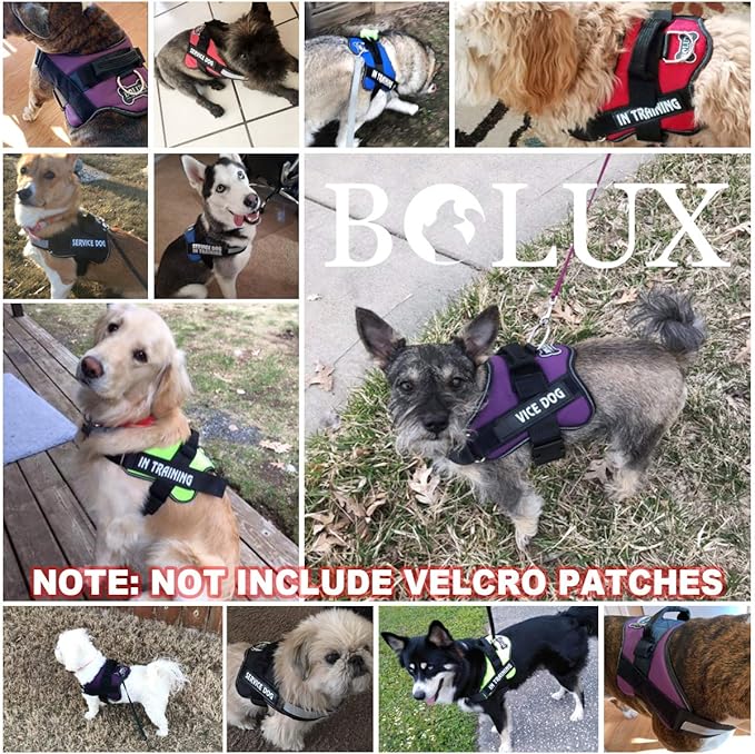 Bolux Dog Harness, No-Pull Reflective Dog Vest, Breathable Adjustable Pet Harness with Handle for Outdoor Walking - No More Pulling, Tugging or Choking (Black, XL)