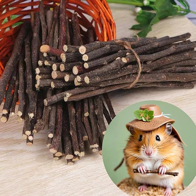 500g Apple Sticks Chew Toys for Small Pets, Perfect for Rabbits Guinea Pigs Hamsters Chinchillas Gerbils and Squirrels, Great for Teeth Grinding and Snacks