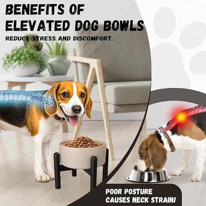 Raised Ceramic Dog Bowl - Elevated Food Water Dish with Stainless Steel Stand - for Small to Medium Dogs - 6 Inch - 2 Cups (28.75 fl oz) - Pink