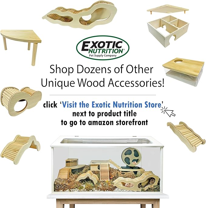 Exotic Nutrition Acrylic Sand Bath House - Fun & Unique Cage Accessory for Hamsters, Gerbils, Chinchillas, and Degus (Corner)
