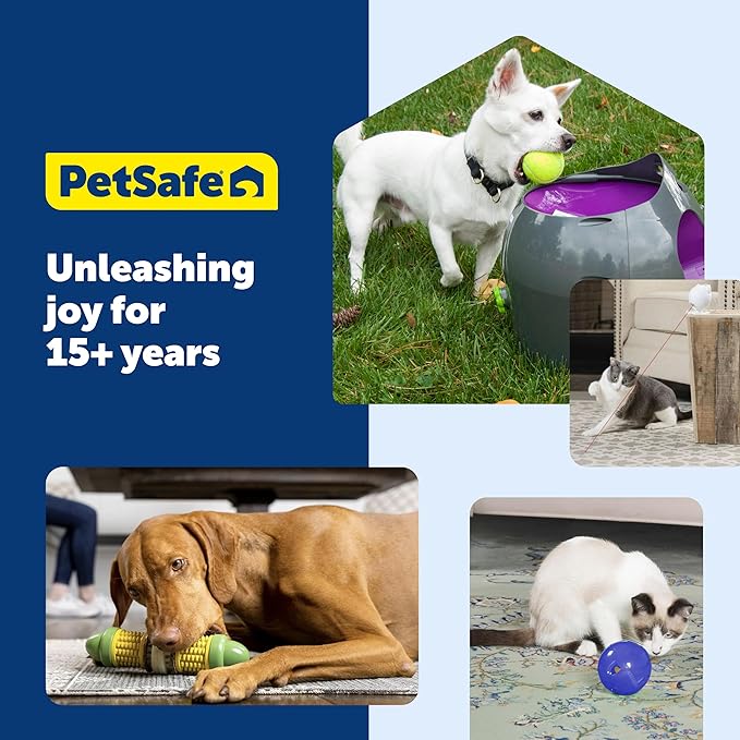 PetSafe Dancing Dot Laser Cat Toy - Interactive Playtime for Cats - 2 Play Modes
