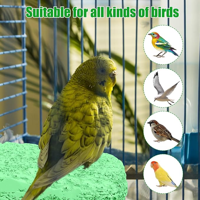 2pcs Anti-Slip Bird Beak Grinding Stones, Washable Resin Bird Beak Trimmer & Nail Filing Stand Platform Cage Accessories for Parrots Budgies Cockatiels Parakeets (Green)