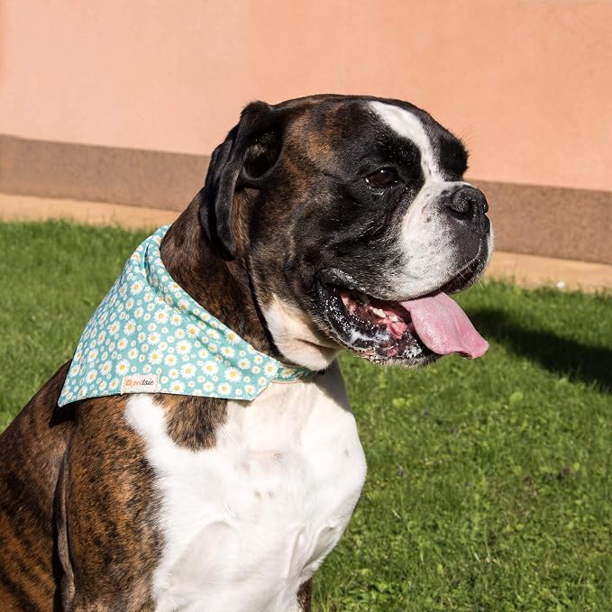Pettsie Hemp Dog Bandana Collar & Matching Owner Friendship Bracelet | Adjustable, Durable Hemp, Soft & Comfortable, Secure D-Ring, Matching Friendship Bracelet, Green