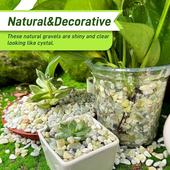 45lb Jade Bean Stone,1/4 Inch Bonsai DIY Rocks, Natural Succulent Rock and River Rocks Decorative for Aquariums, Vases, Terrarium, Outdoor Gardening, Top Dressing for Potted Plants
