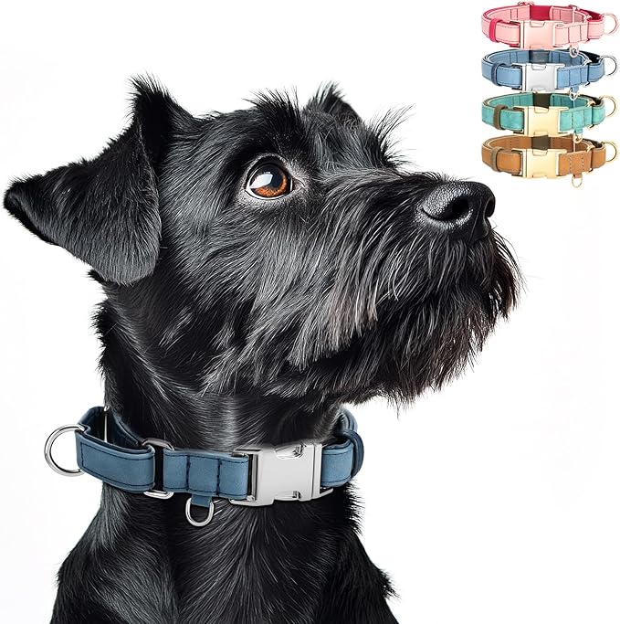 WHIPPY Vegan Leather Dog Collar No Slip Martingale Dog Collar with Quick Release Metal Buckle for Large Medium Small Dogs,Blue