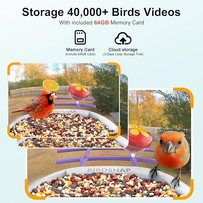 birdsnap® PAV-Bird Feeder with Camera,2K HD with 64GB Card, AI Identify Smart Bird House Cam Solar Panel,Live Stream,Motion Detection,Auto Record Video for Backyard Outdoors,Ideal Gift for Bird Lover