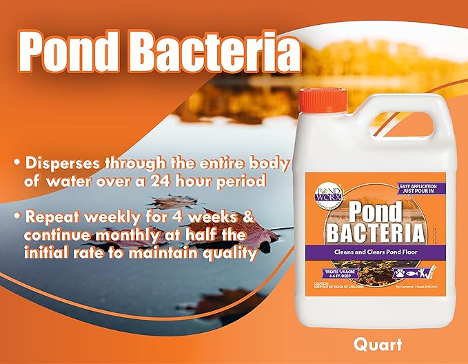 Pond Worx Pond Bacteria - Concentrated & Formulated for Large Ponds, Water Features - Safe for Koi - 32 Ounces & Treats up to a Quarter Acre Pond