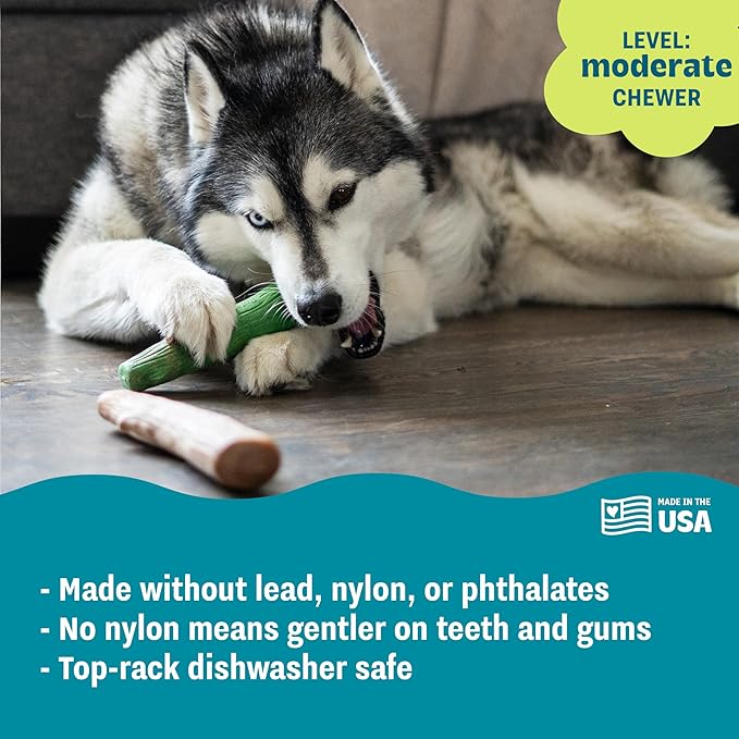 Pupstages by Petstages Dogwood Breath Dog Chew Toy – Real-Wood Blend, Moderate Chewers, Large, 8", 2-Pack (Natural & Mint Flavors)