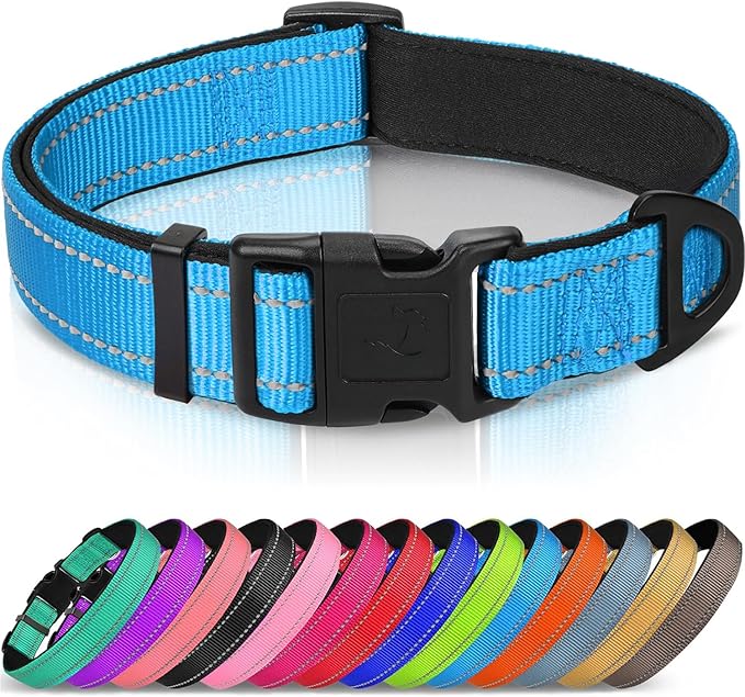 Joytale Reflective Dog Collar,Soft Neoprene Padded Breathable Nylon Pet Collar Adjustable for Puppy and Small Dogs, Sky Blue,XS