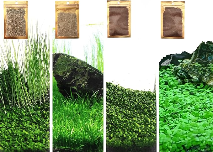 4 in 1 Aquarium Plant S.e.e.ds, no Artificial Plastic Plant, Live Grass for Fish Tank, fit All Substrate (0.36ozTiny+0.36oz Long+0.36oz Short+0.36oz Big Dual) ZQV-003