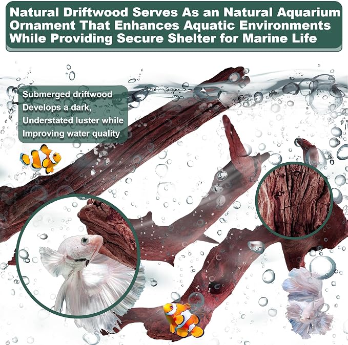 Natural Wood Driftwood for Aquarium Fish Tank Decor,Assorted Driftwood Trunk Branch for Reptile Tank Decor (MOP-ZYM Driftwood (8 to12 Inch)-Pack of 2)