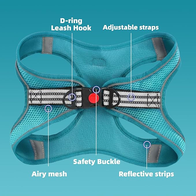 SMOUATOU All Weather Mesh Step in Vest Harness for Small and medidum Dogs and Cats, Adjustable Soft Padded Dog Vest with Easy Control Handle for Dogs Pets (Teal, L)