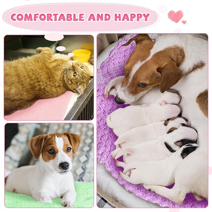 Reginary 10 Pcs Guinea Pigs Blankets Hamster Fleece Cage Liners Coral Fleece Quick Dry Soft Blankets Bedding Guinea Pig Accessories for Cat(18 x 24 Inch,Colorful)