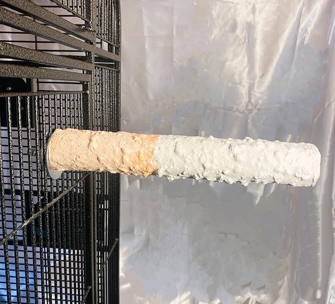 Polly's Edible Cuttlebone Calcium Bird Cage Perch for Budgies, Parakeets, Amazons, Blue & Golds, Macaws and Cockatoos.… (Variety, Large)
