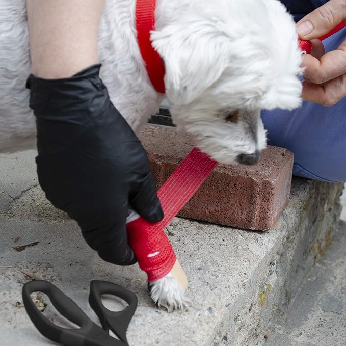 Emergency Zone Pet First Aid Kit. Prepare Your Dog for Hurricanes, Earthquakes, Wildfires, etc.