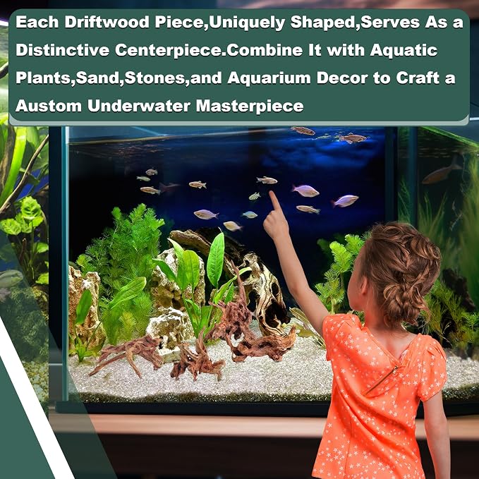 Natural Wood Driftwood for Aquarium Fish Tank Decor,Assorted Driftwood Trunk Branch for Reptile Tank Decor (LLM-Driftwood (4 to 8 Inch)-Pack of 4)