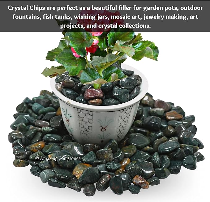Amazing Gemstone Bloodstone Crystal Chips Aquarium Gravel Rocks - Bloodstone Chips Bulk Fish Tank Gravel, Small Tumbled Stone Chips and Tiny Crystals for Decoration (Natural AAA Grade Gemstones)