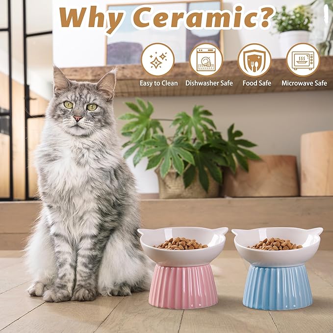 Ceramic Raised Cat Bowl，Tilted Raised Bowl Anti Vomit Bowls for Indoor Cats Whisker Friendly Pet Feeder for Cats Puppies, Microwave and Dishwasher Safe