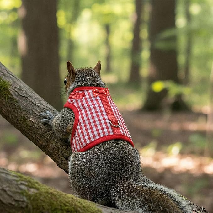 Guinea Pig Harness and Leash,Adjustable Guinea Pig Harness,Elastic Guineas Pigs Leash and Harnes,Ideal for Pet Hamster Squirrel Animals & Safe Pet Supervision(Red Plaid)