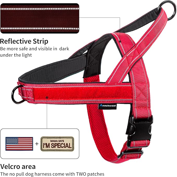 Annchwool No Pull Dog Harness with Padded Handle+5 Ft Leash,Reflective Strip Escape Proof and Quick Fit to Adjust Dog Harness,Easy for Training Walking for Small & Medium and Large Dog(Red-Set,M)