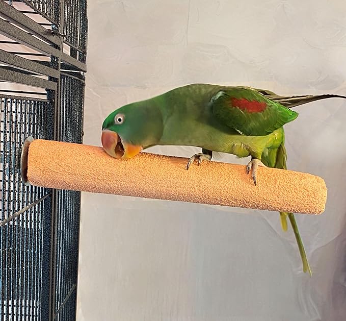Polly's Pastels Nail Trimming & Beak Conditioning Safety Perch for Cockatiels, Cockatoos, Macaws, Parakeets, Budgies, Parrots and All Other Birds (Coral, X-Large Long-2" Dia. x 14" Long)