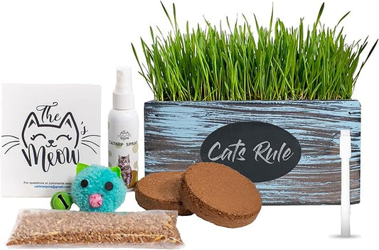 Cat Grass for Indoor Cats - Ornamental Indoor Planter with Pet/Cat Grass Growing kit, Handcrafted in the USA from Red Cedar (Aged Tourquoise)