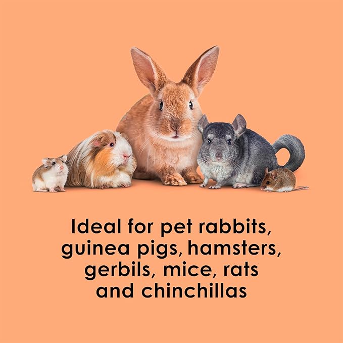 Kaytee Super C Bites Treat For Pet Guinea Pigs, Adult Rabbits, Chinchillas, and Other Small Animals, Cranberry and Orange, 4 oz