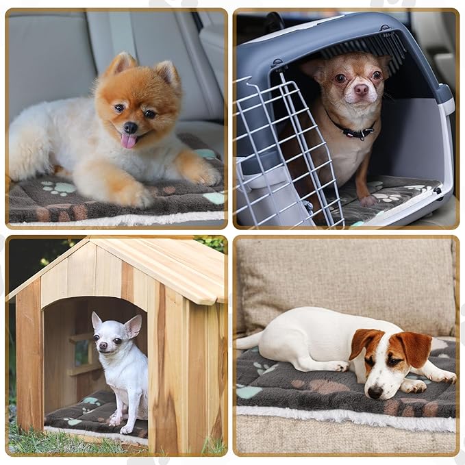 Tuanse 4 Pack Ultra Soft Dog Cat Bed Mat Small Animal Guinea Pig Bed with Cute Print Reversible Fleece Dog Crate Kennel Pad Cozy Washable Thickened Hamster Pet Beds Mat(21 x 14 Inches,Black)