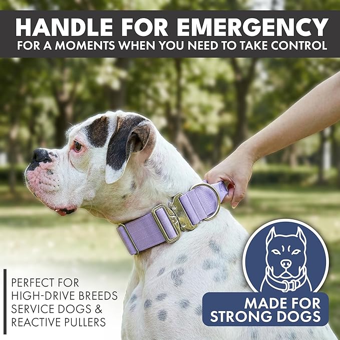 Spark Paws Tactical Dog Collar - Heavy Duty, Premium Quality, Thick and Durable for Large and Medium Dogs - Purple - M - 1.5"