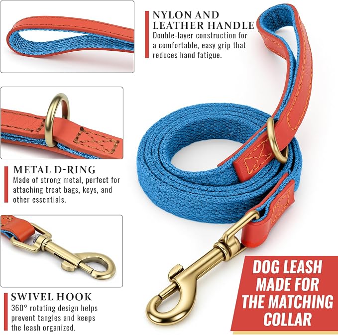 Dog Collar and Leash Set with Metal Quick Release Buckle, Adjustable, Breathable Nylon, Durable, Soft and Comfortable, No Pull for Walking and Training, Blue, M (12.5"-19.6")