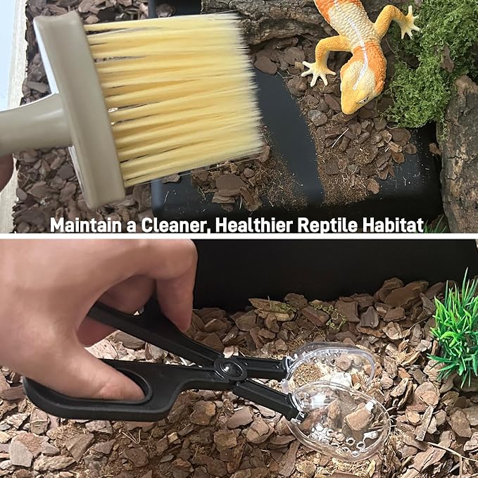 Reptile Cleaning Kit 9PCS, Terrarium Cleaning Tools Set with Scraper, Brush, Tweezers & Sponge, Tank Maintenance Kit for Bearded Dragon, Gecko, Snake Habitat Supplies