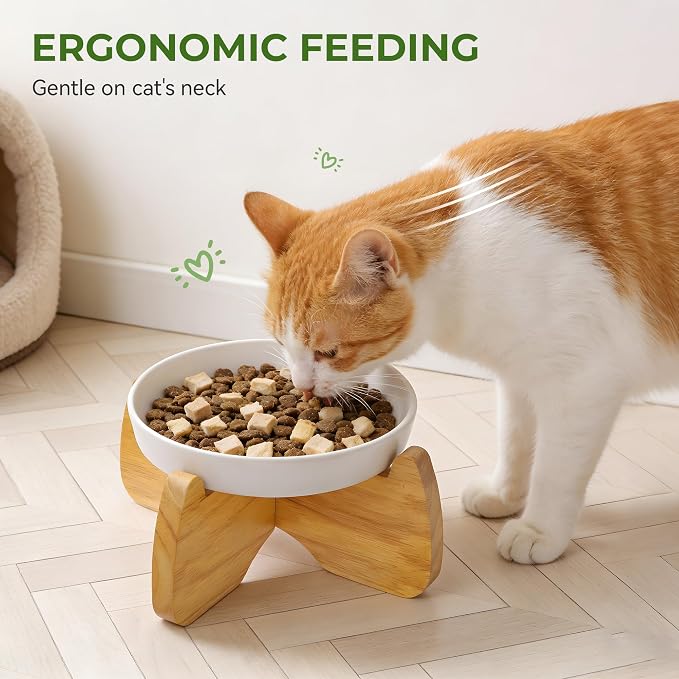 Raised Ceramic Cat Bowl 6.3" Wide Shallow Flat Bottom (2 Pack) | Neck Protective, Anti Whisker Fatigue, Anti Vomit, Dishwasher Safe, For Dry and Wet Food, For Kittens & Seniors