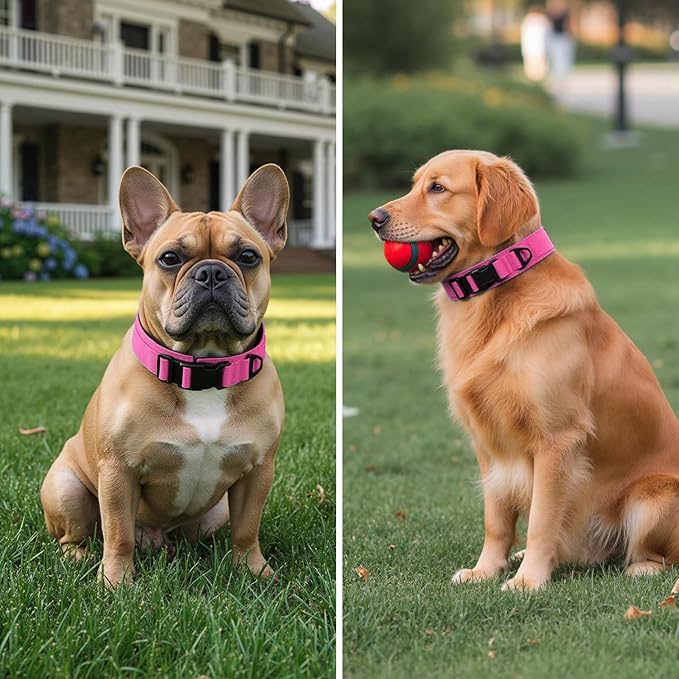Tactical Durable Dog Collar, Metal D-Ring, Adjustable Heavy Duty Dog Collar with Heavy Quick-Release Buckle for Medium Large Dogs (Hotpink, L)