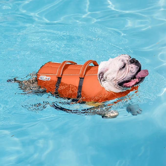 Outward Hound Granby Splash Orange Dog Life Jacket, Medium