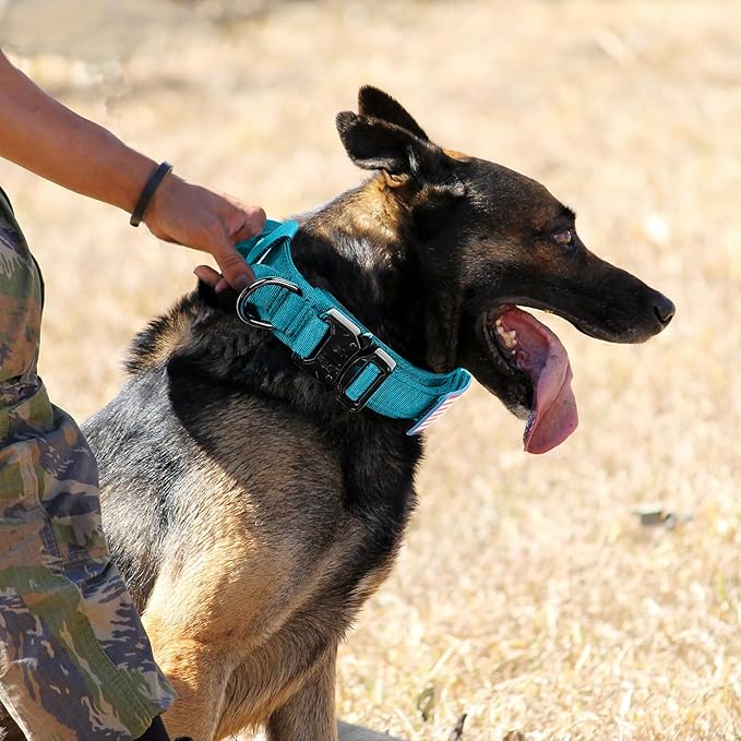 Celifelight Tactical Dog Collar Military Dog Collar Adjustable Nylon Dog Collar Heavy Duty Metal Buckle with Handle for Dog Training,with Patches(Light Blue 1, M), Medium