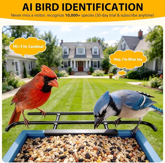 Smart Bird Feeder with Camera 2.5K HD, BOLITE Bird House for Outdoors, AI Auto-Capture & Motion Detection, Weatherproof Camera, Solar Powered, Ideal Gift for Men Women Mom Dad & Bird Lovers, Blue