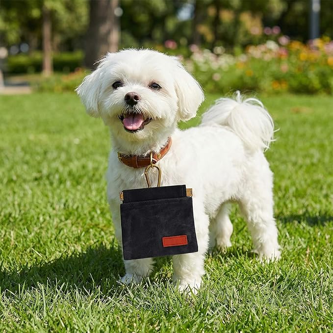 Dog Treat Pouch Black Pocket Sized Pet Training Pouch Training Pouch with Carabiner Buckle Auto Closing Dog Walking Bag Pet Feed Snack Reward for Pet Puppy Travel Outdoor Use