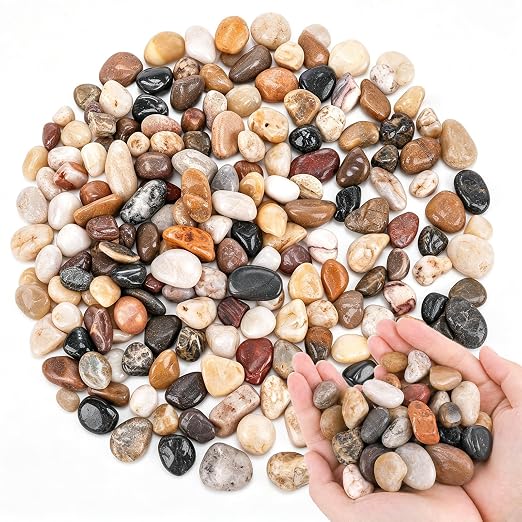 DOMESTAR River Rocks, Fish Tank Gravel, Pebbles for Plants Decorative | Stones for Potted, Vase Filler, Home Decor, Fish Tank, Garden Landscaping, Flower Beds (1 Pound)