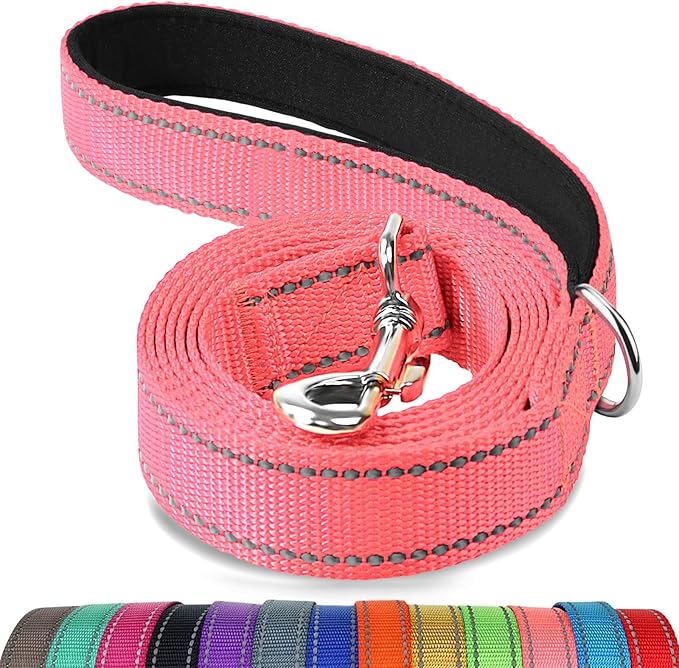 Joytale Dog Leash, 6 FT Double-Sided Reflective, Padded Handle Nylon Heavy Duty Leashes for Small Dogs Walking, Neon Pink
